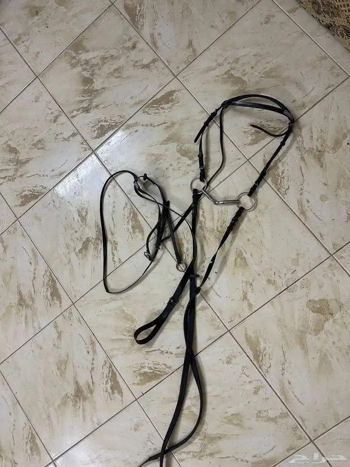 سرج سيتوس نظيف 1