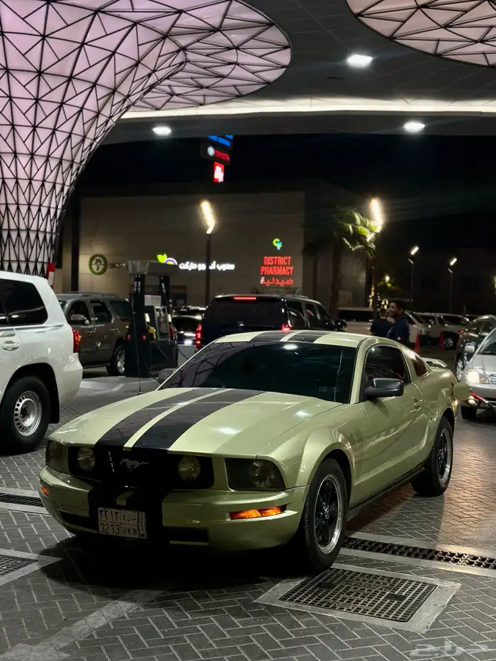 موستنج قمة بالنظافة 5