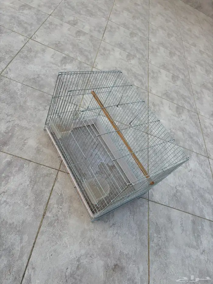 قفص عصافير 1