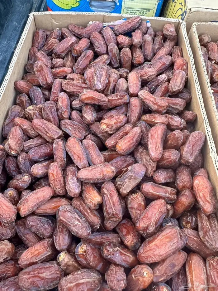 صفري فاخر لون وجوده انتاج آلسنه 7