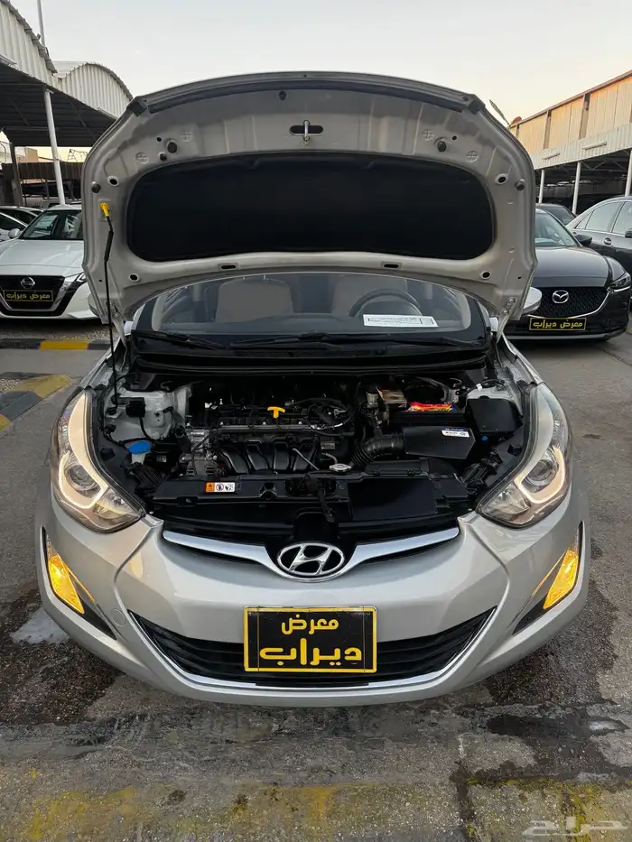 النترا 2015 21