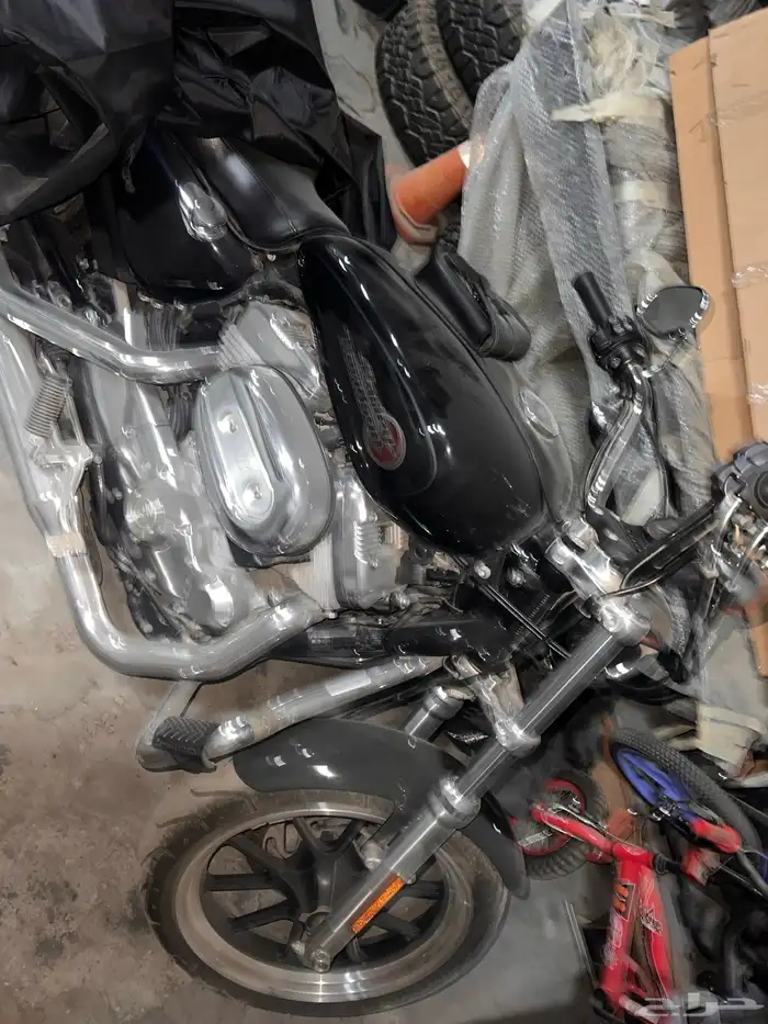 دباب هارلي 2