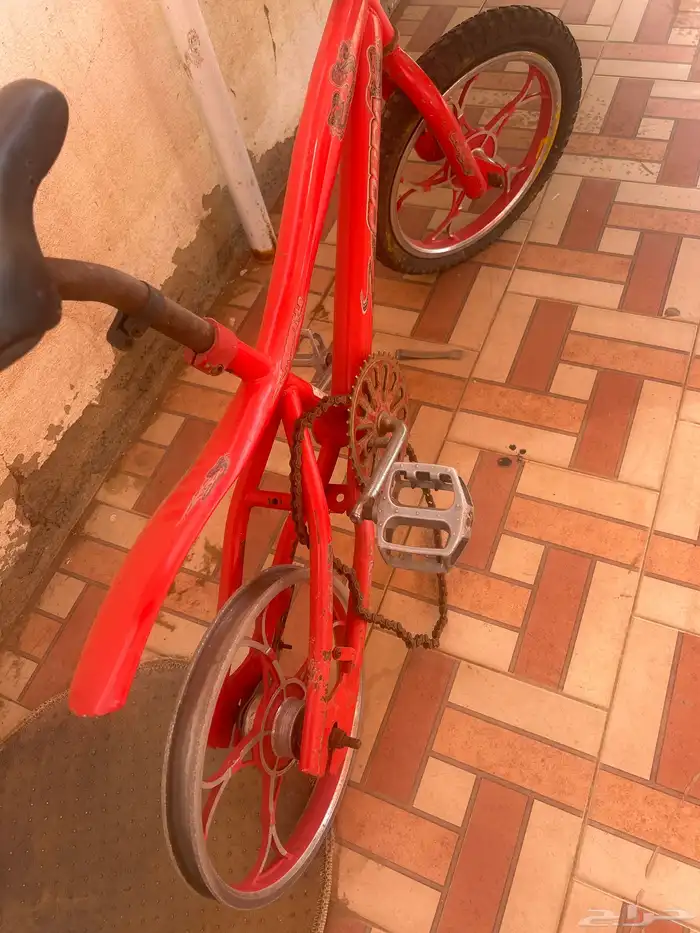 سيكل كوبرا للبيع 4