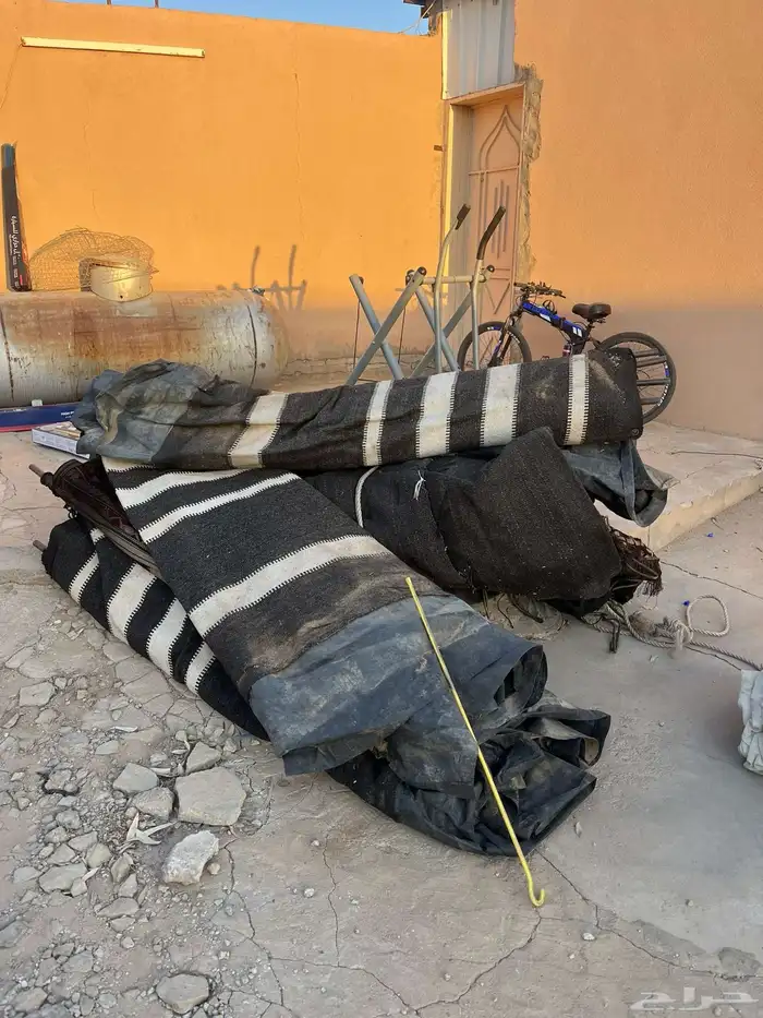 بيت شعر اسود مع جملون و خيمتين عامود 1