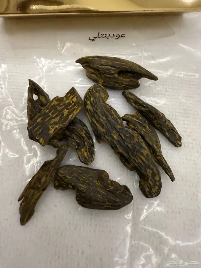 عروض مميزة لاتفوتك اختار ي مايناسبك 17