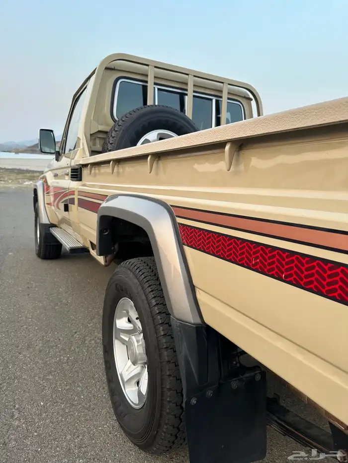 شاص 2010 سعودي 7