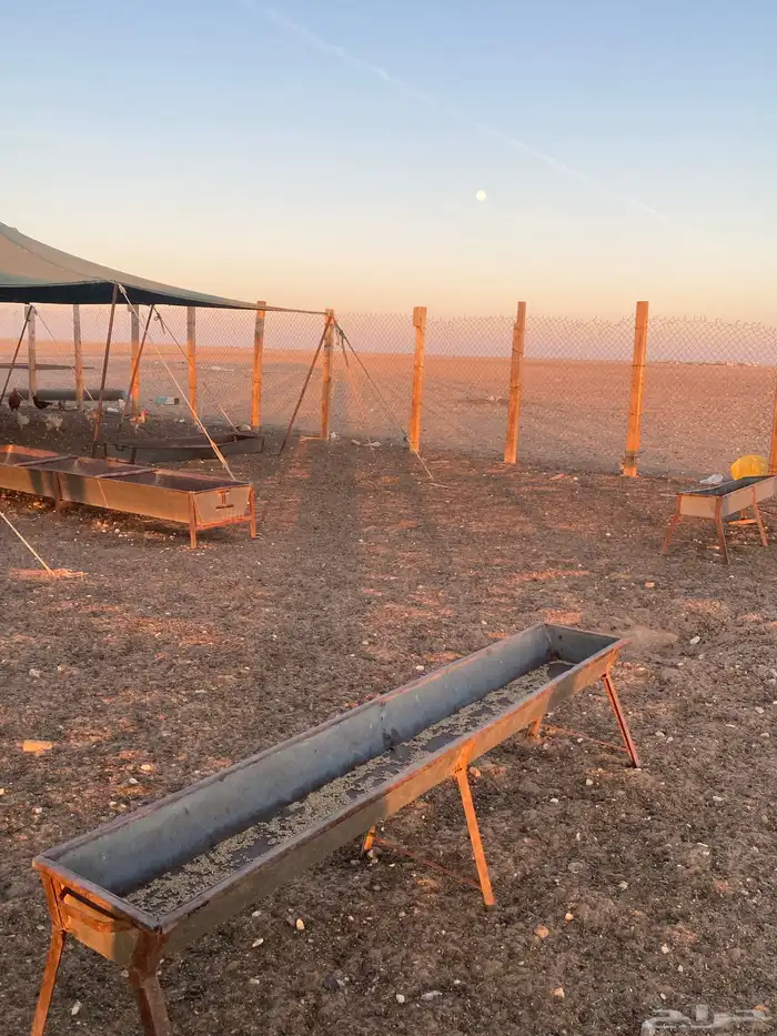 مراح كامل للبيع. 18