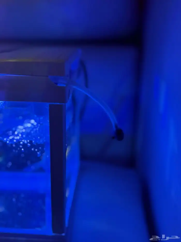 حوض سمك جديد للبيع مع طعامها 2