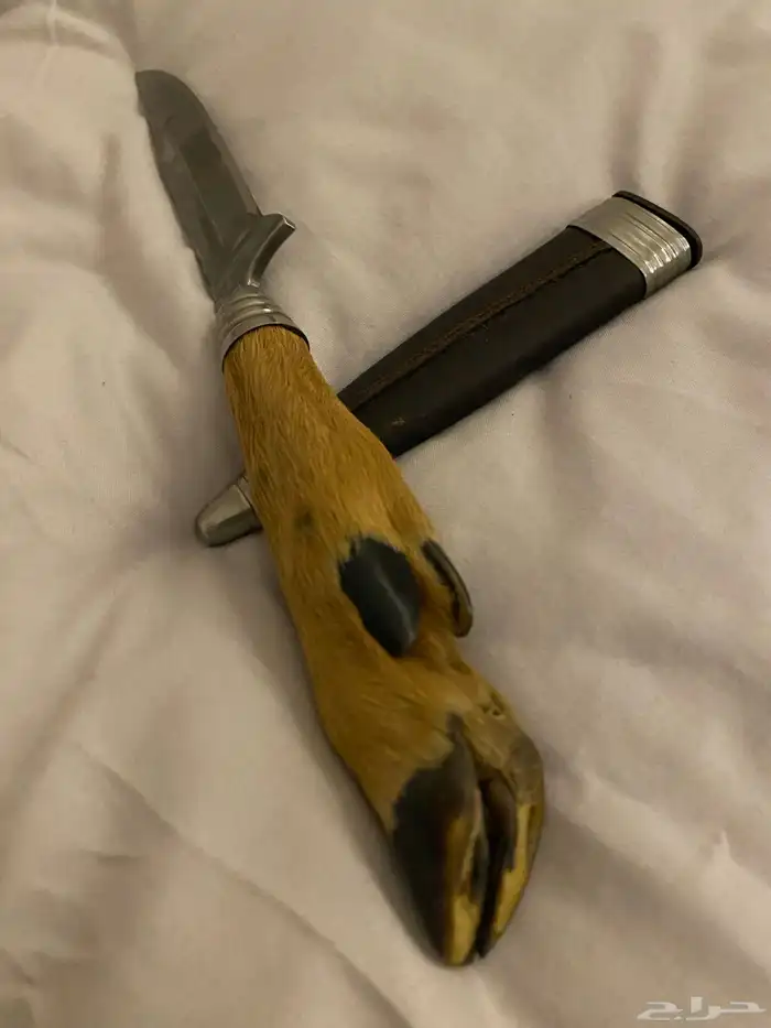 سكين كعب الغزال نظيفه السعر 300 3