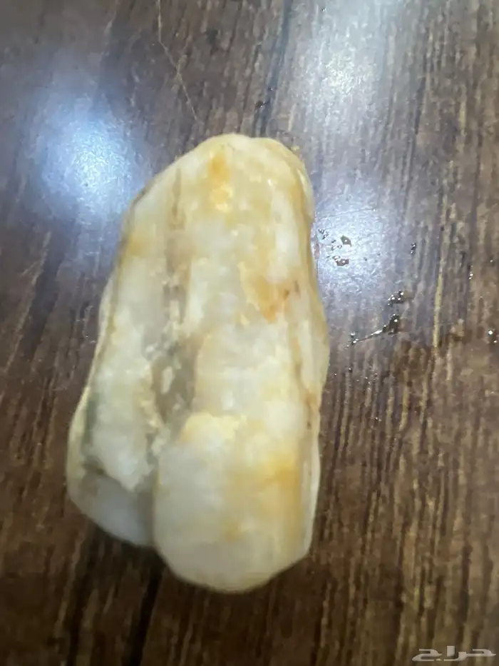 وادي قديد   البريكة 0