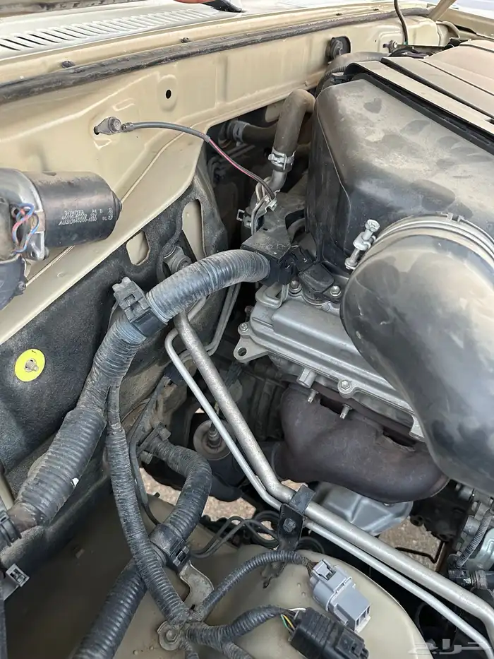 شاص 2010 سعودي 31