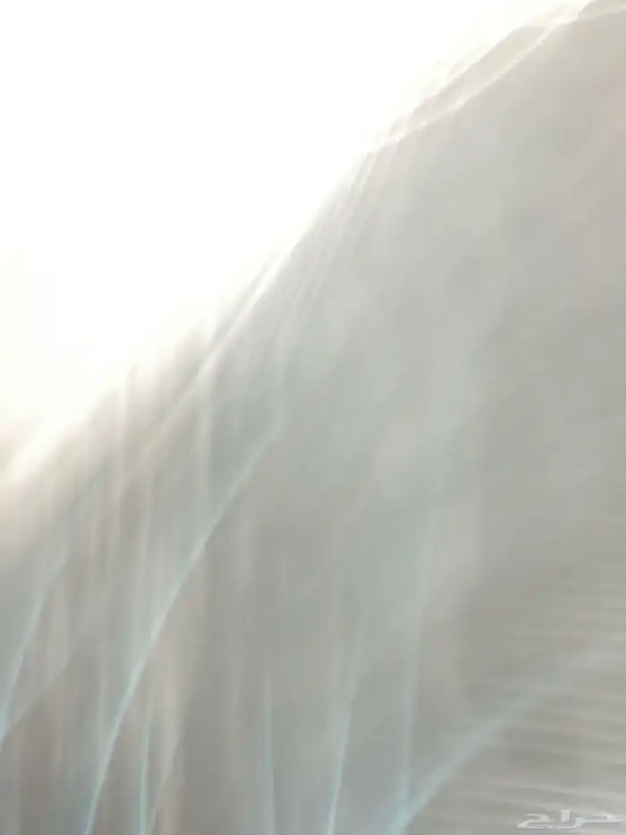 اللي عندة تامينات اسبوعية شرط يكون الشخص ب الحفر 0