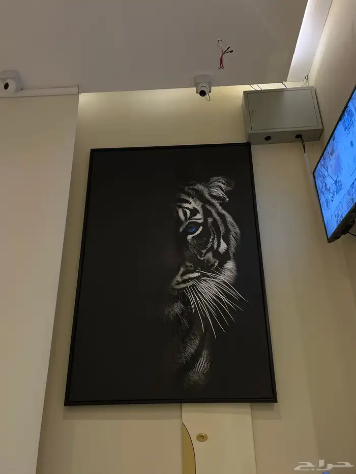 لوحات جدارية 8