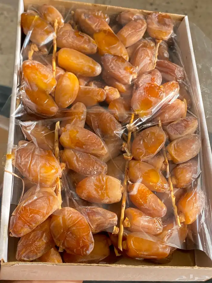 دقلة نور الجزائرية جديدة 3