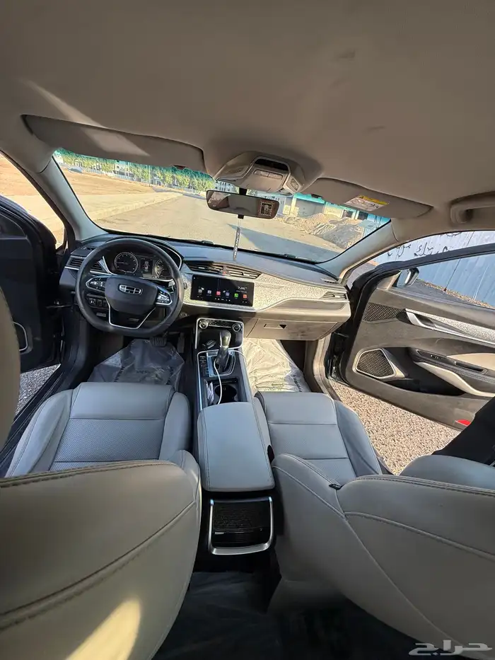 جيلي بينراي 2020 14