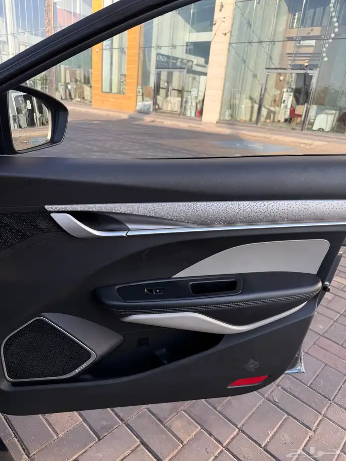 جيلي بينراي 2020 19