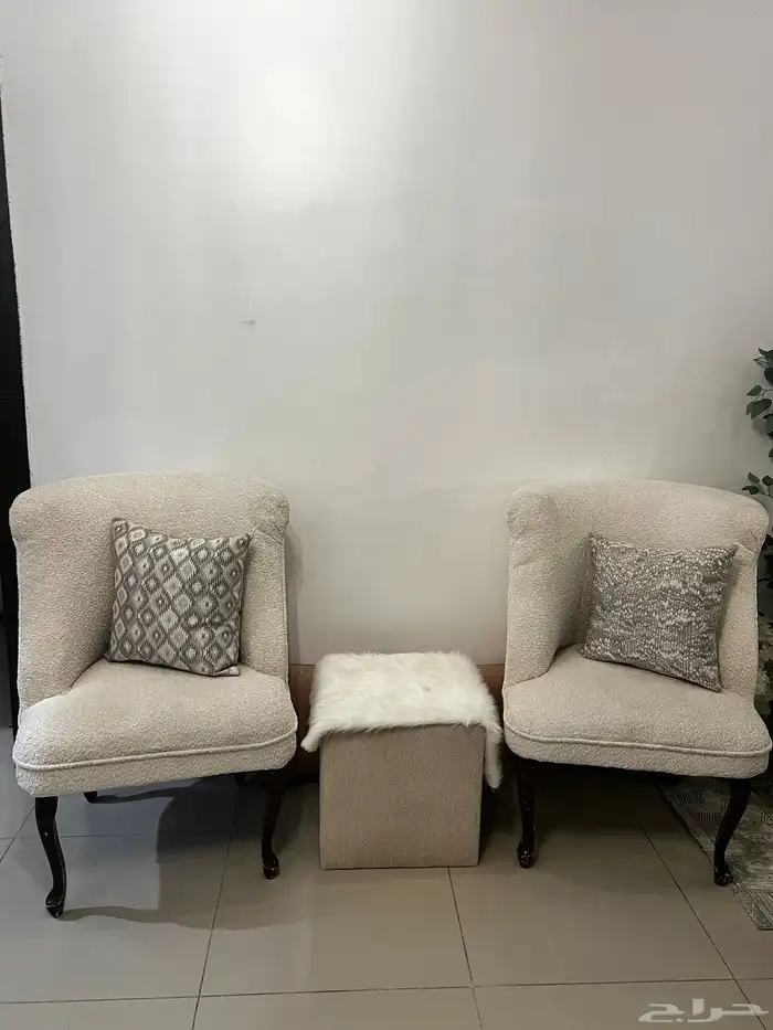 كنبات كرسي 1