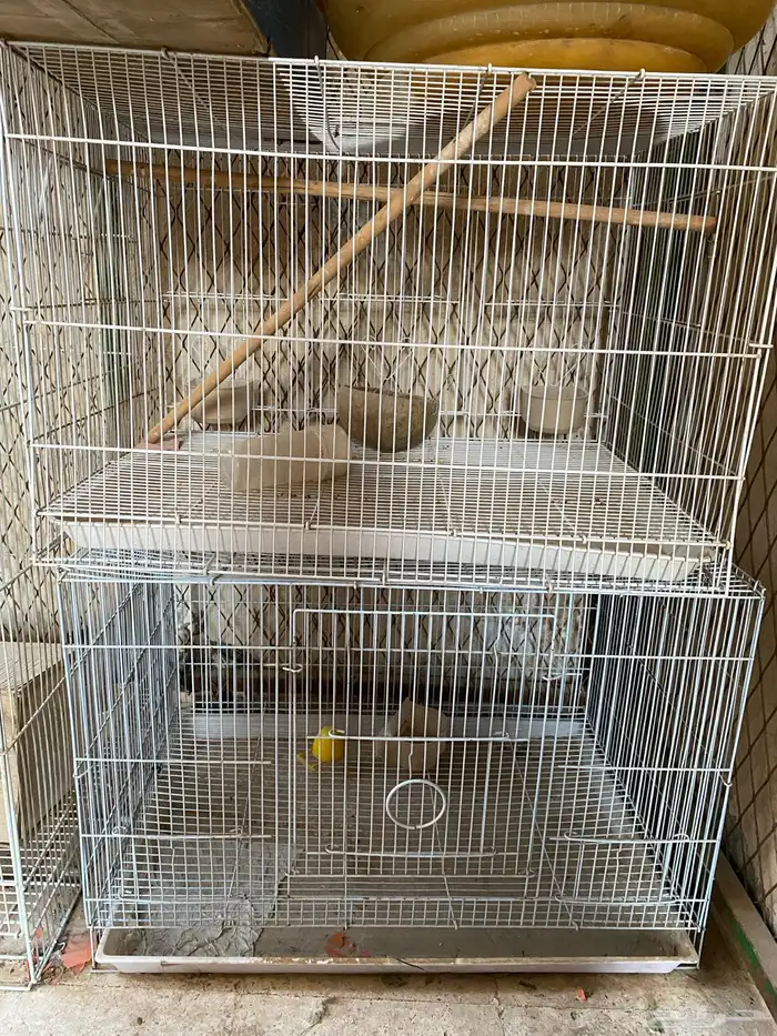 اقفاص عصافير منوعه 1