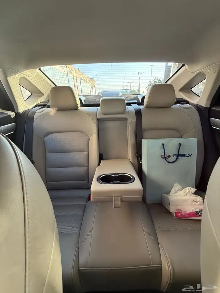 جيلي بينراي 2020 20