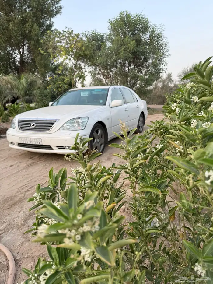 لكزس 430 LS سعودي نظيف للبيع 1