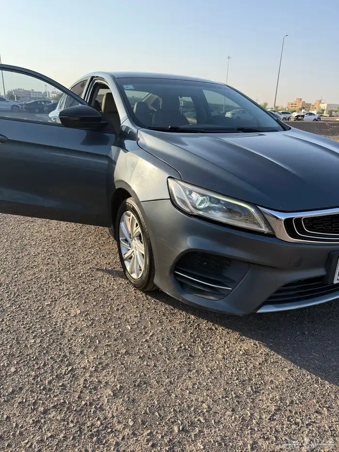 جيلي بينراي 2020 1