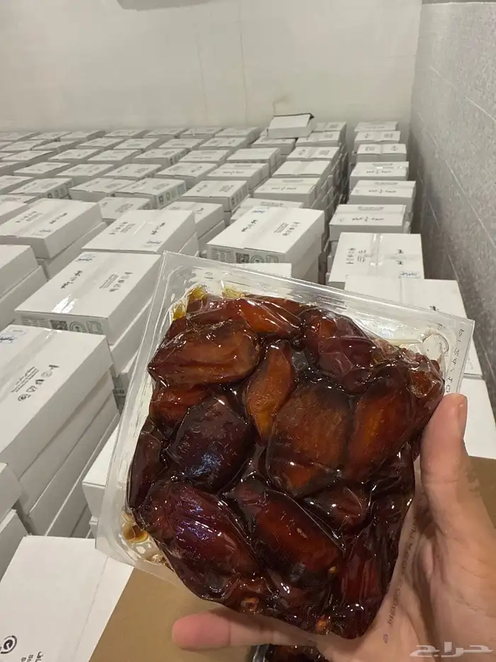 تمر صفري بيشه جامبو 0