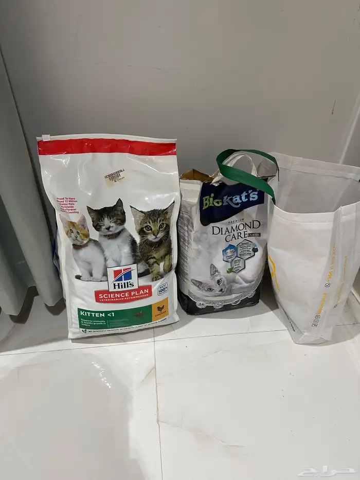 اغراض قطه   أكل 0