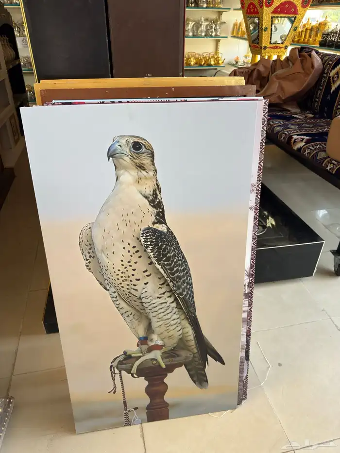 لوحات جدارية 3