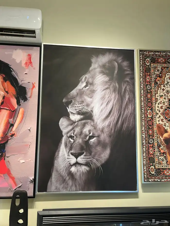 لوحات جدارية 0