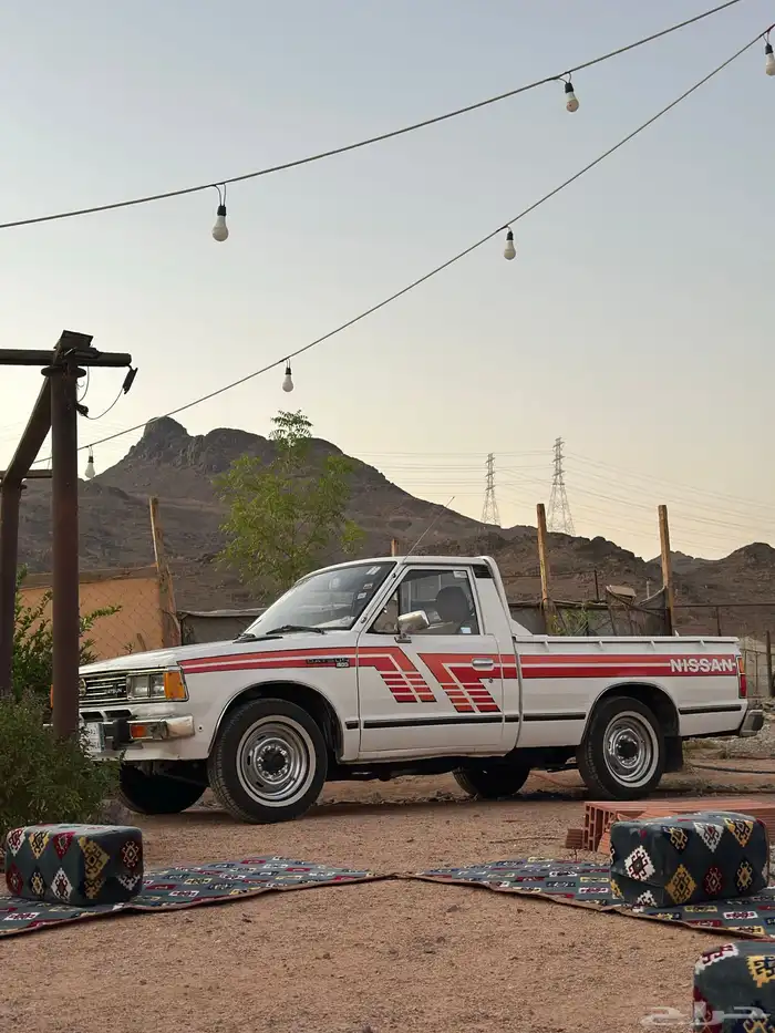 ددسن 83 مجدد مفحوص 3