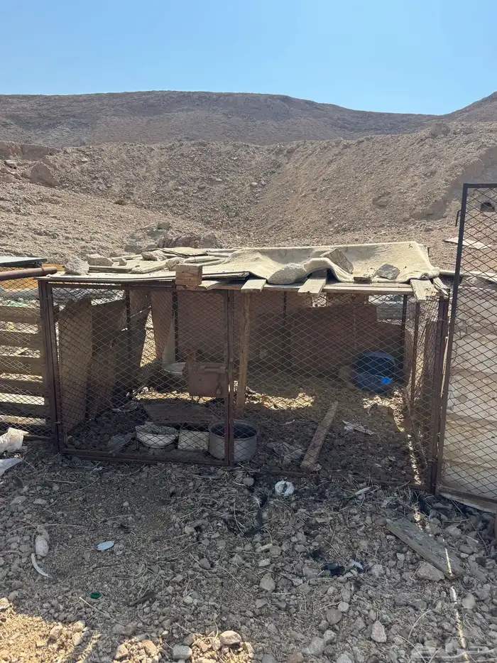 شبك دجاج وا معزا 0