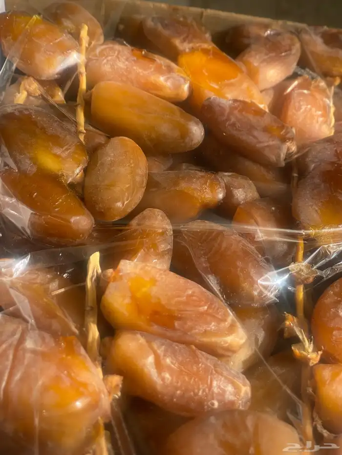 دقلة نور الجزائرية جديدة 1