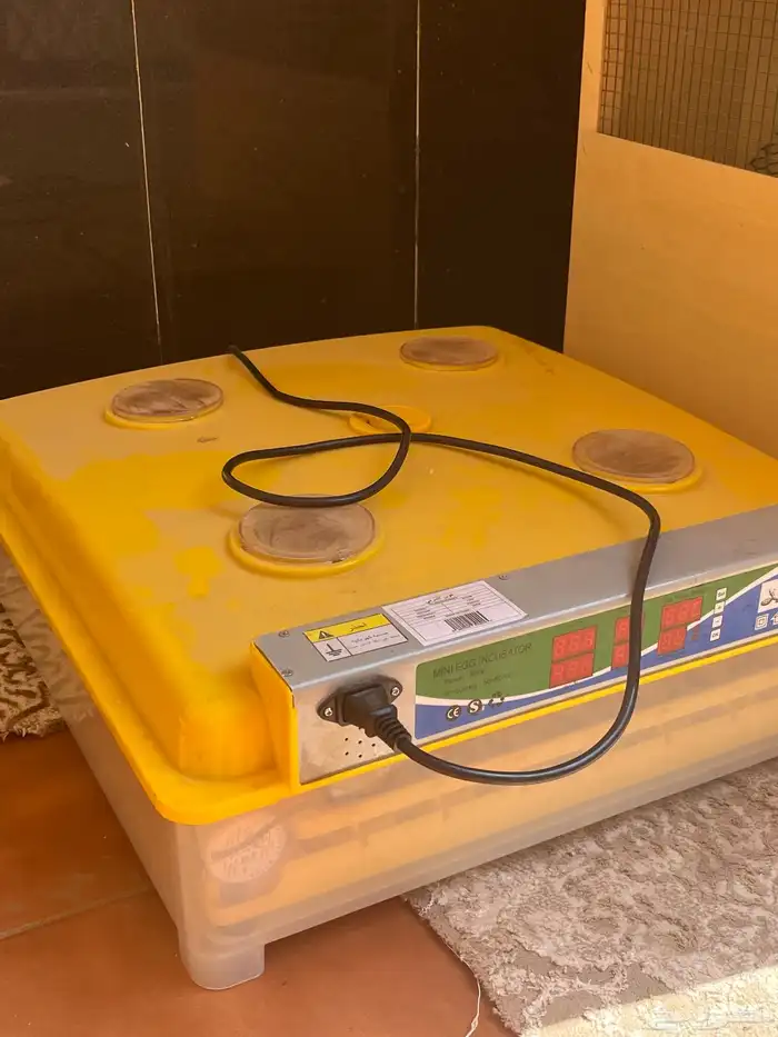 حضانة فروخ 4