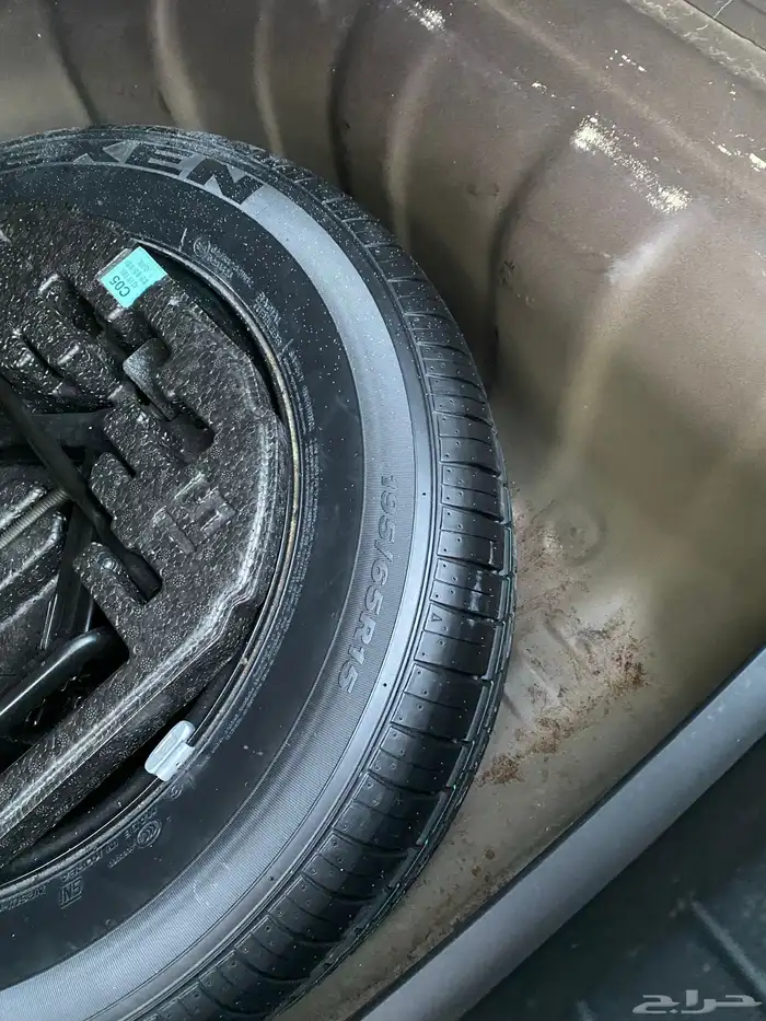 النتراء م 2018 6