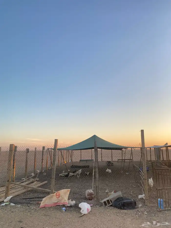 مراح كامل للبيع. 22