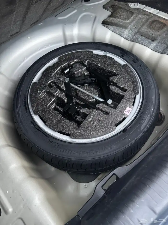 النترا 2015 20