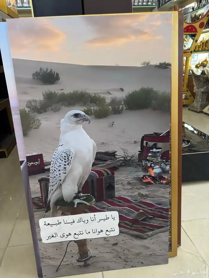 لوحات جدارية 5