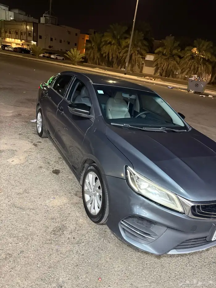 جيلي بينراي 2020 27