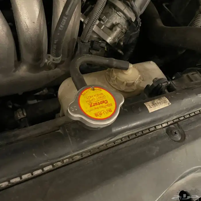 اكورد ستاندر 2004 29