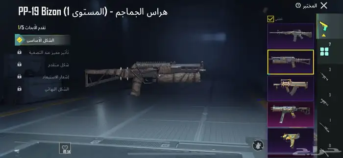 حساب ببجي للبيع نادر 17