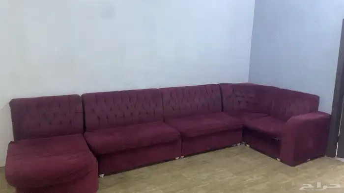 كنب للبع الموقع عقلة الصقور 0