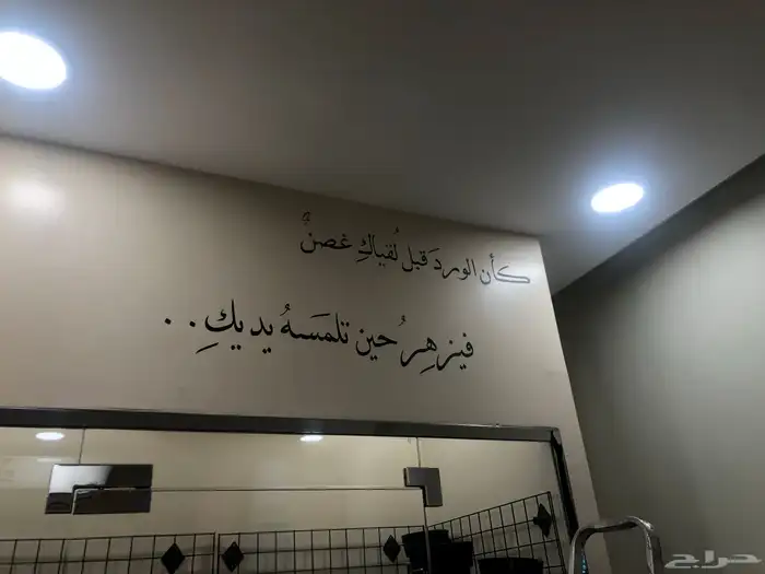 تأسيس الافكار 24