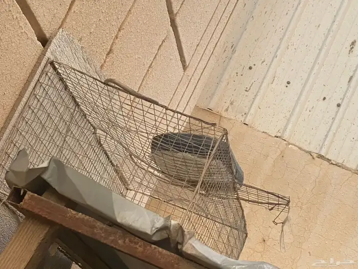 اقفاص عصافير منوعه 0