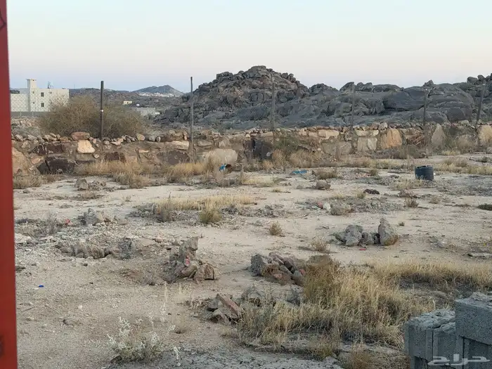 حوش للأجار 4