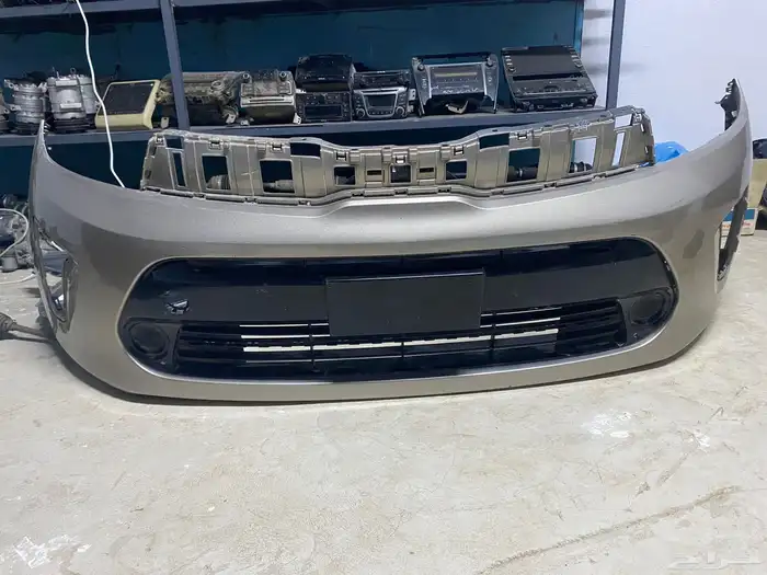 صدام كياء بيجاس 2022 0