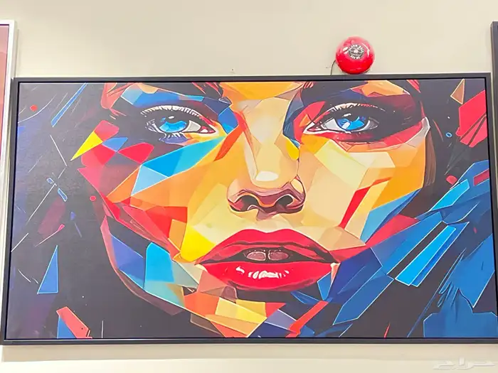 لوحات جدارية 16