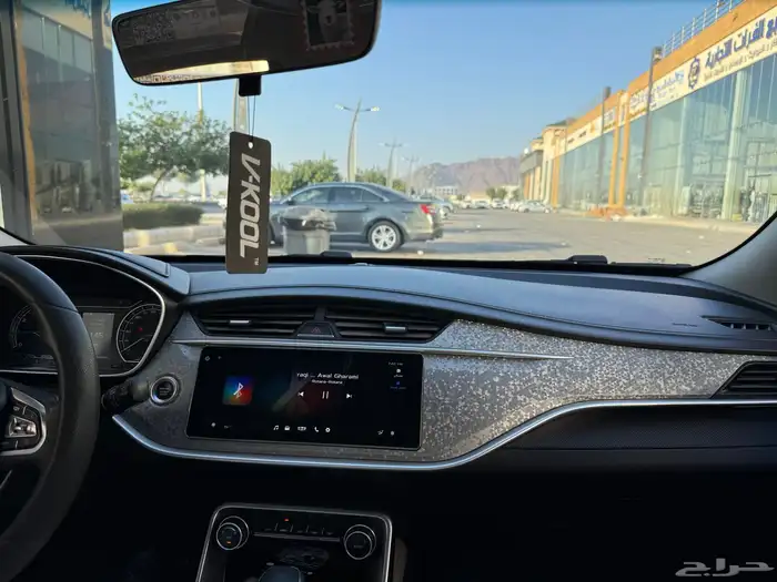 جيلي بينراي 2020 24