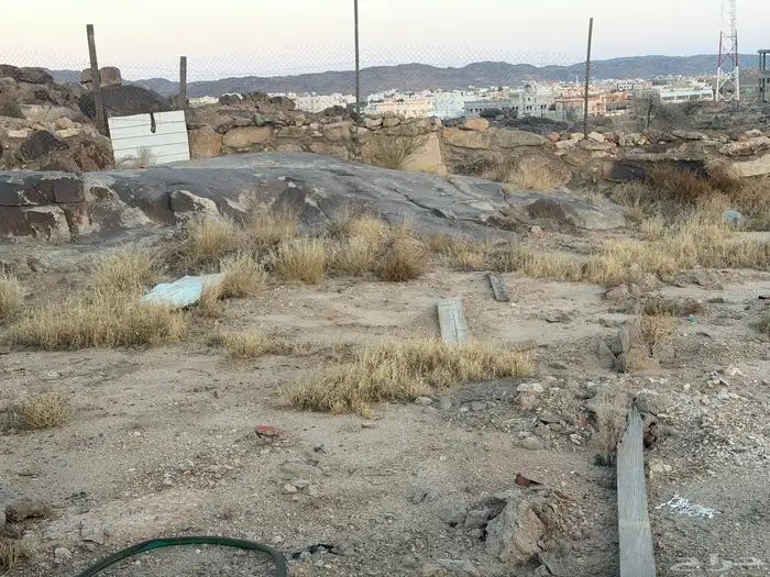 حوش للأجار 5