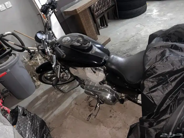 دباب هارلي 1