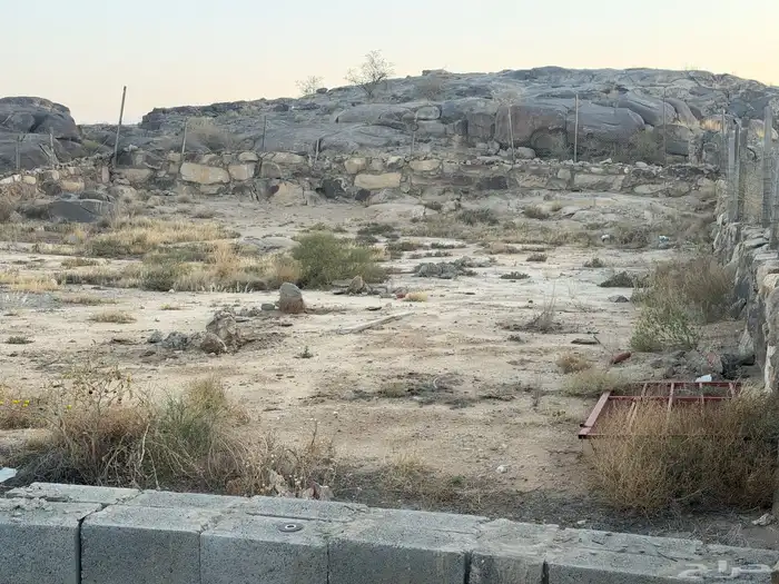 حوش للأجار 2